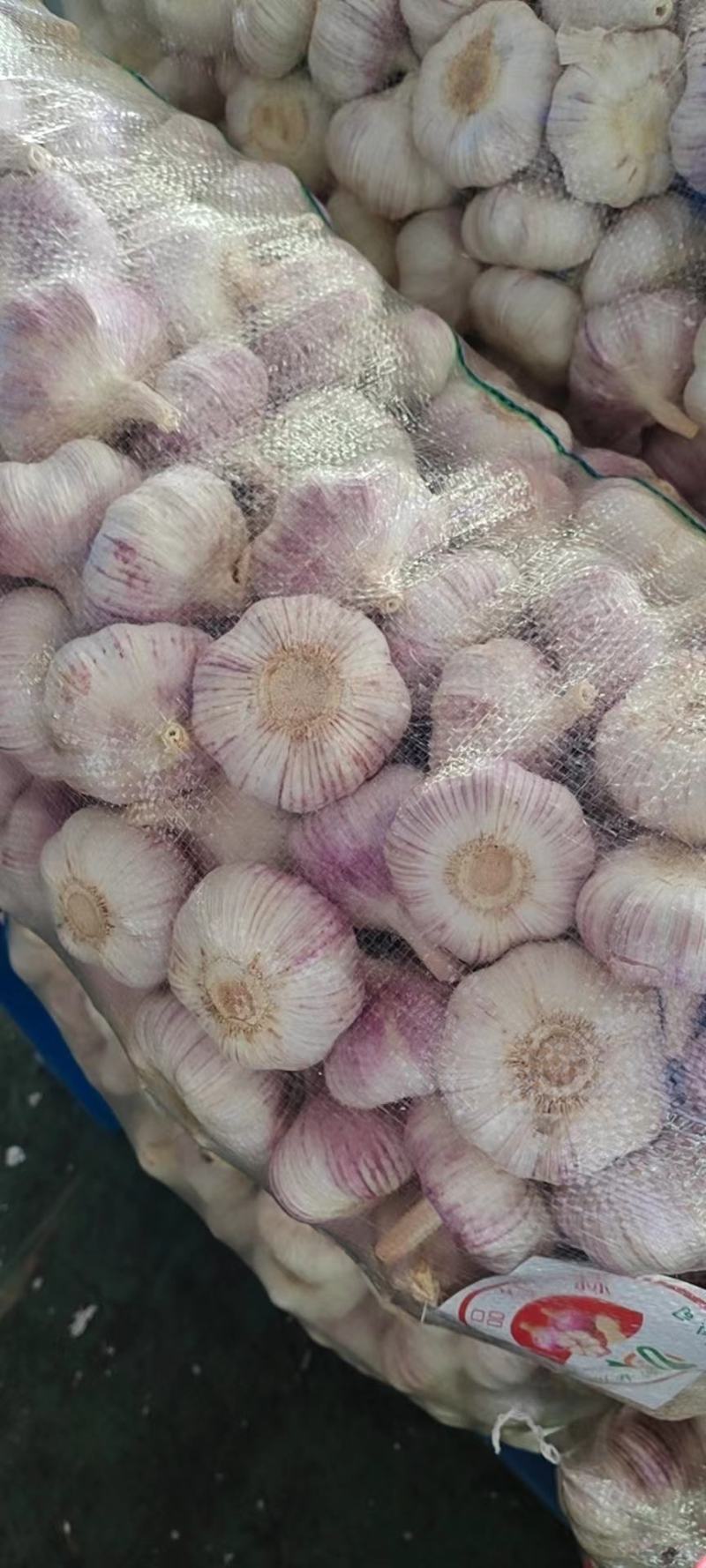 徐州大蒜最新价格,时代印记与市场的脉动