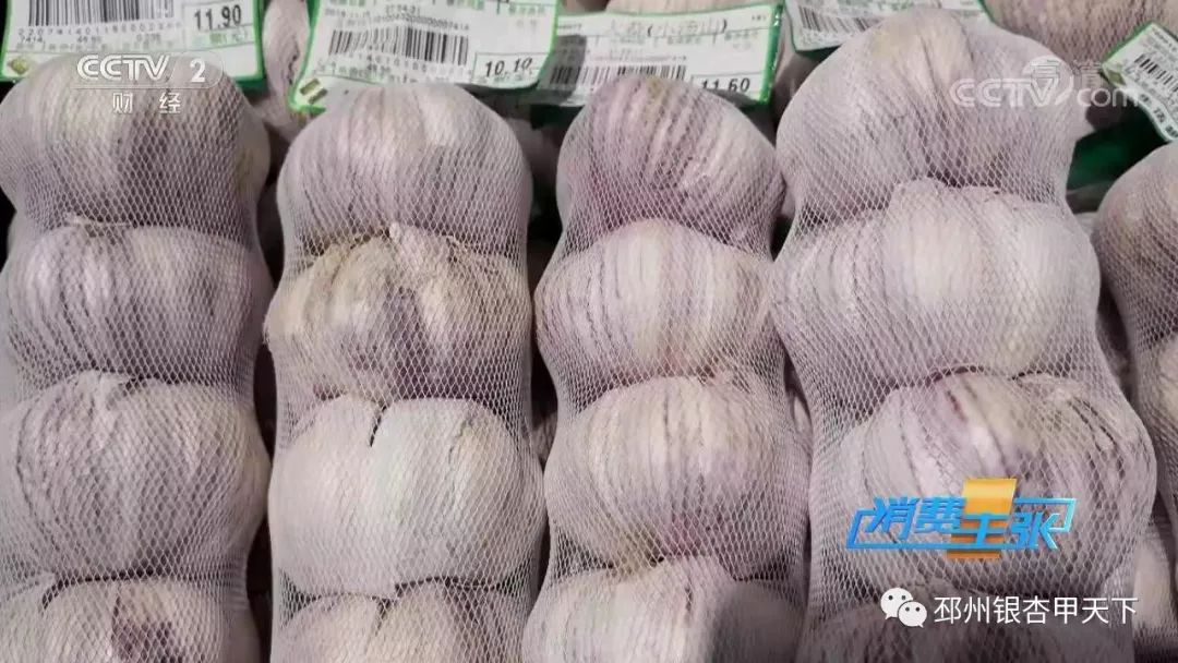 徐州大蒜最新价格,时代印记与市场的脉动