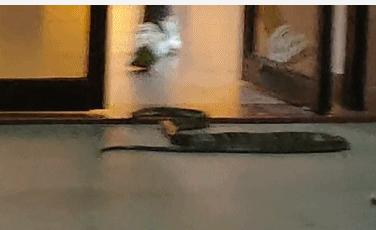 华工国际校区最新动态与高科技产品介绍,科技前沿的校园科技展示