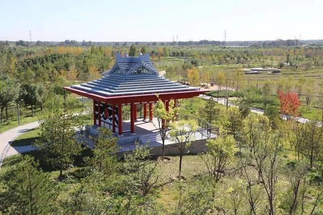 苏曹公园最新动态，游玩指南与技能学习步骤全解析