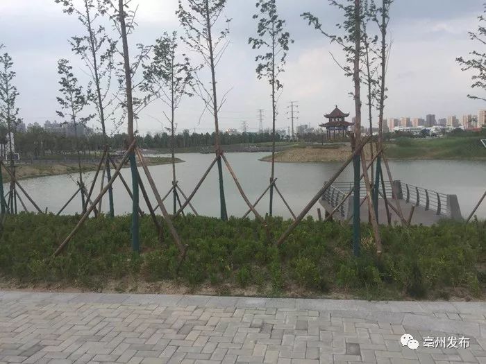 苏曹公园最新动态,游玩指南与技能学习步骤全解析