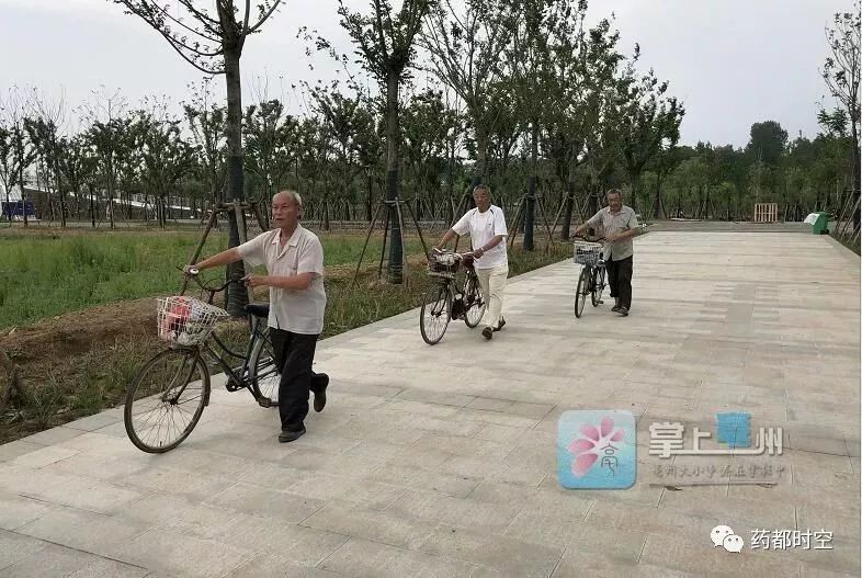 苏曹公园最新动态,游玩指南与技能学习步骤全解析