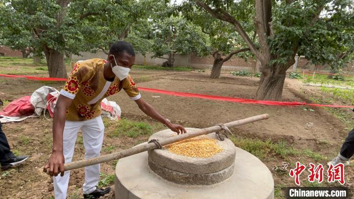 兰州威廉公馆最新消息全面更新指南