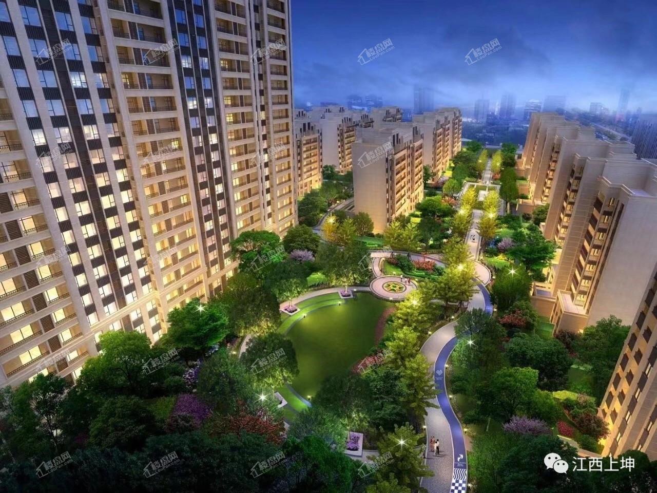 2024龙游最新房价趋势,梦想之城崛起与奋斗之歌