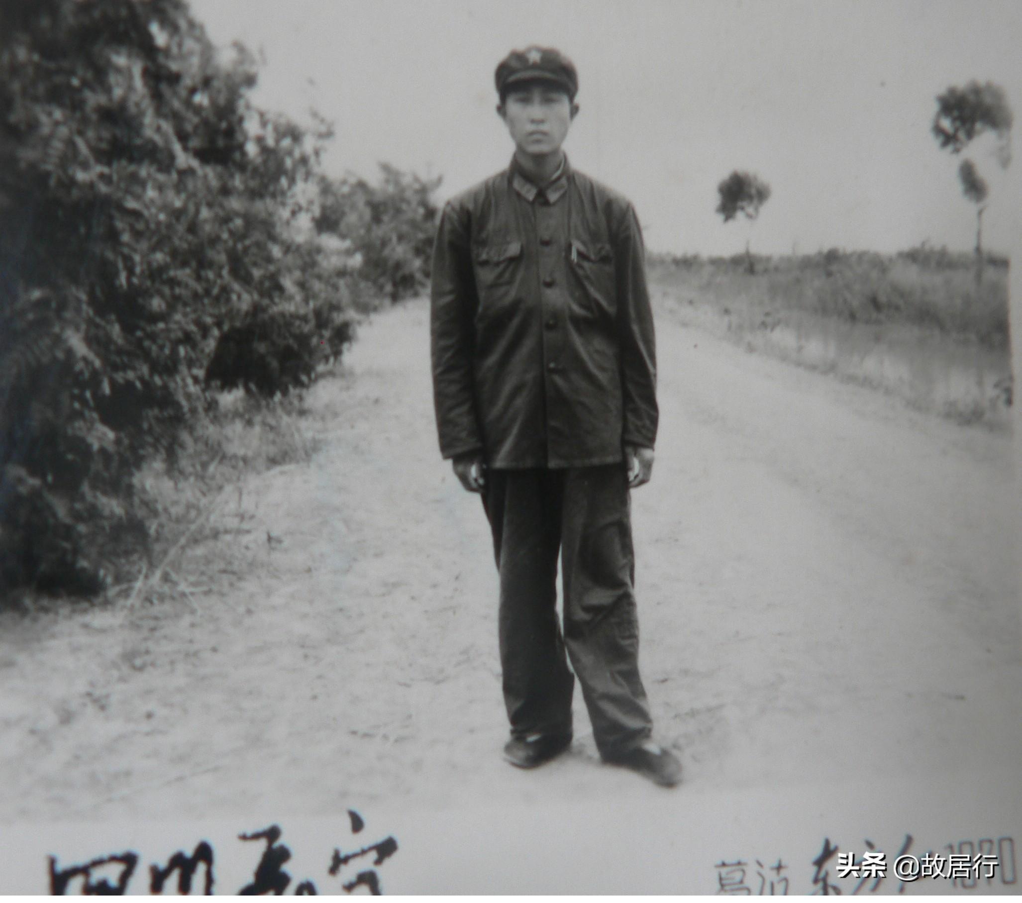 临朐紧急招聘司机,最新动态与观点论述