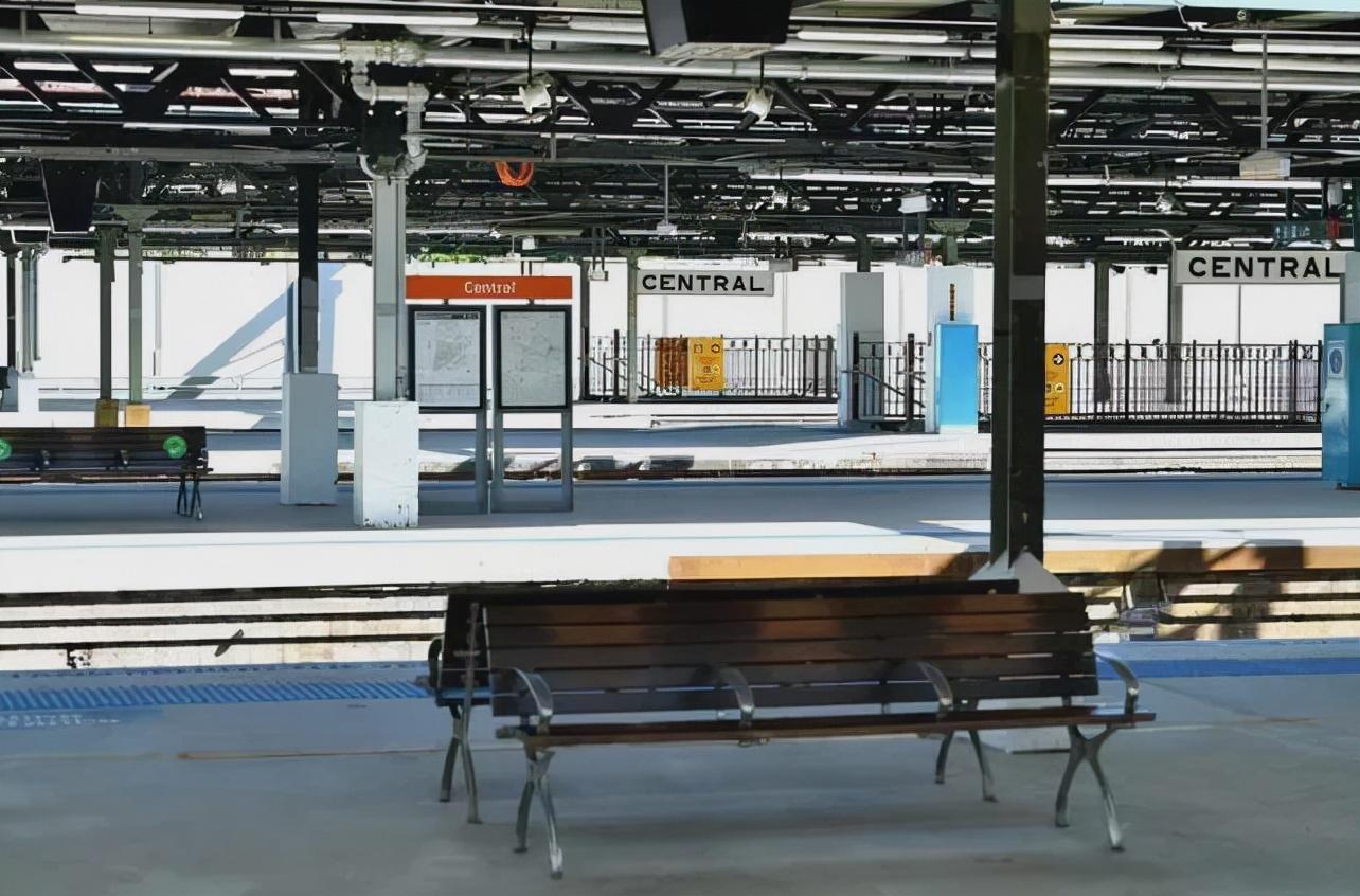 悉尼华人最新新闻🌟