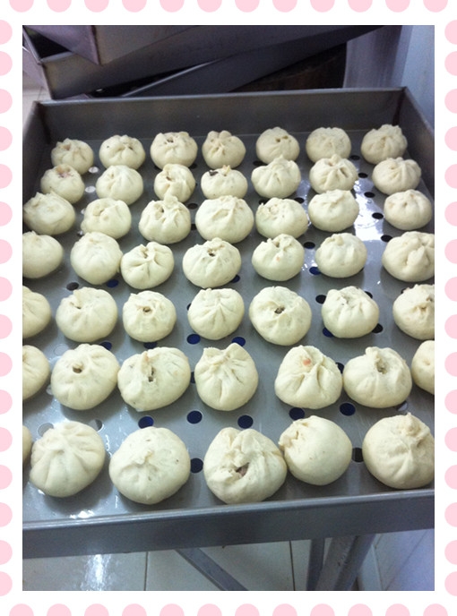 食堂包子最新作品,自然美景的旅行探索之旅