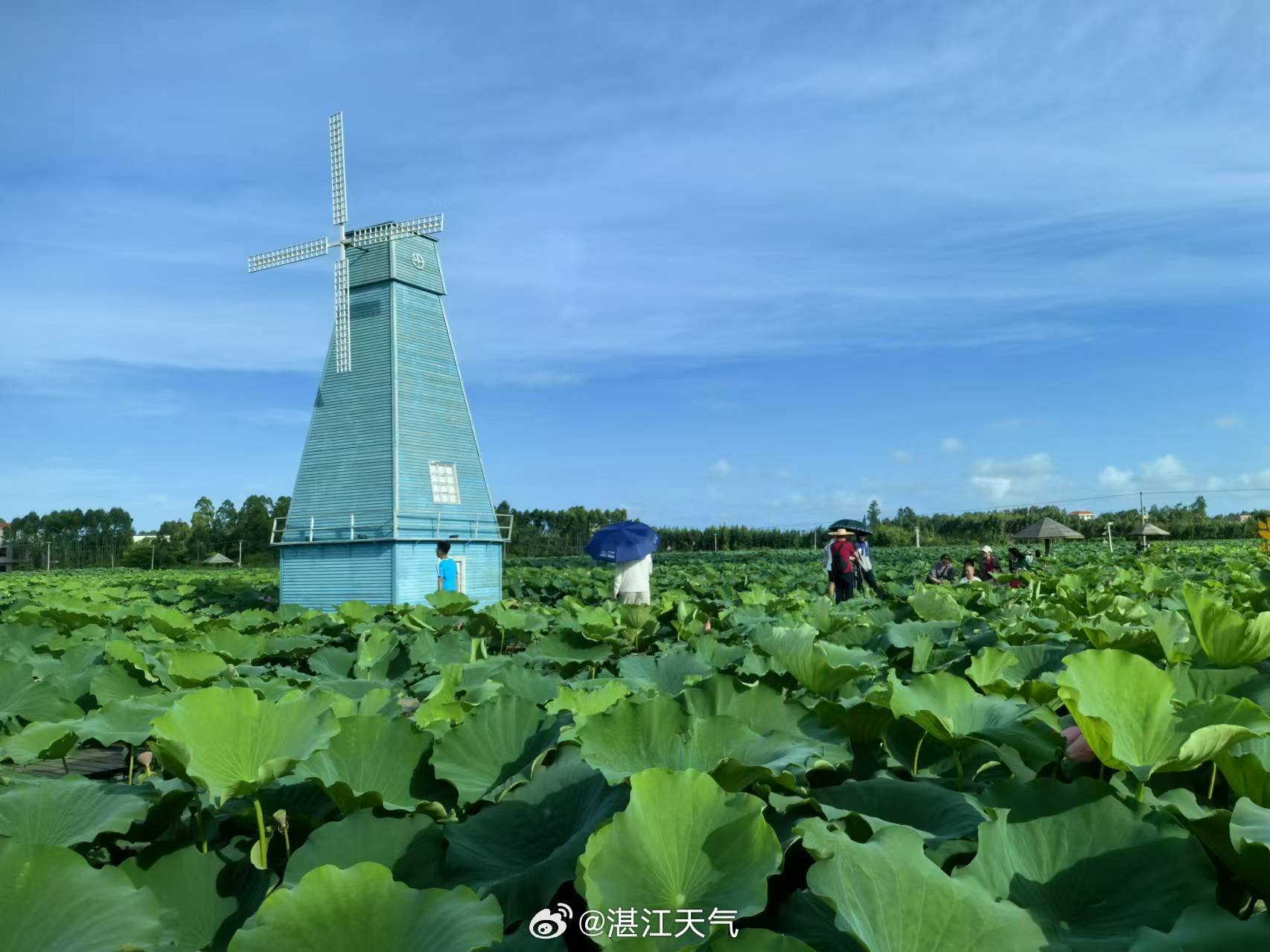 湛江最新天气预报与小巷探索之旅