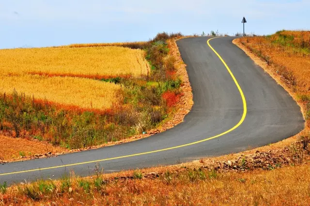 西天路最新利好助力前行,自信闪耀展现未来