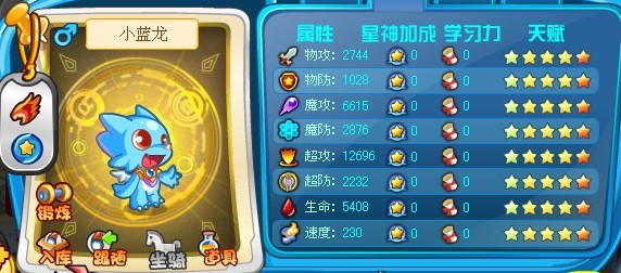 最新小龙属性详解,形态、能力与特性的全面解析