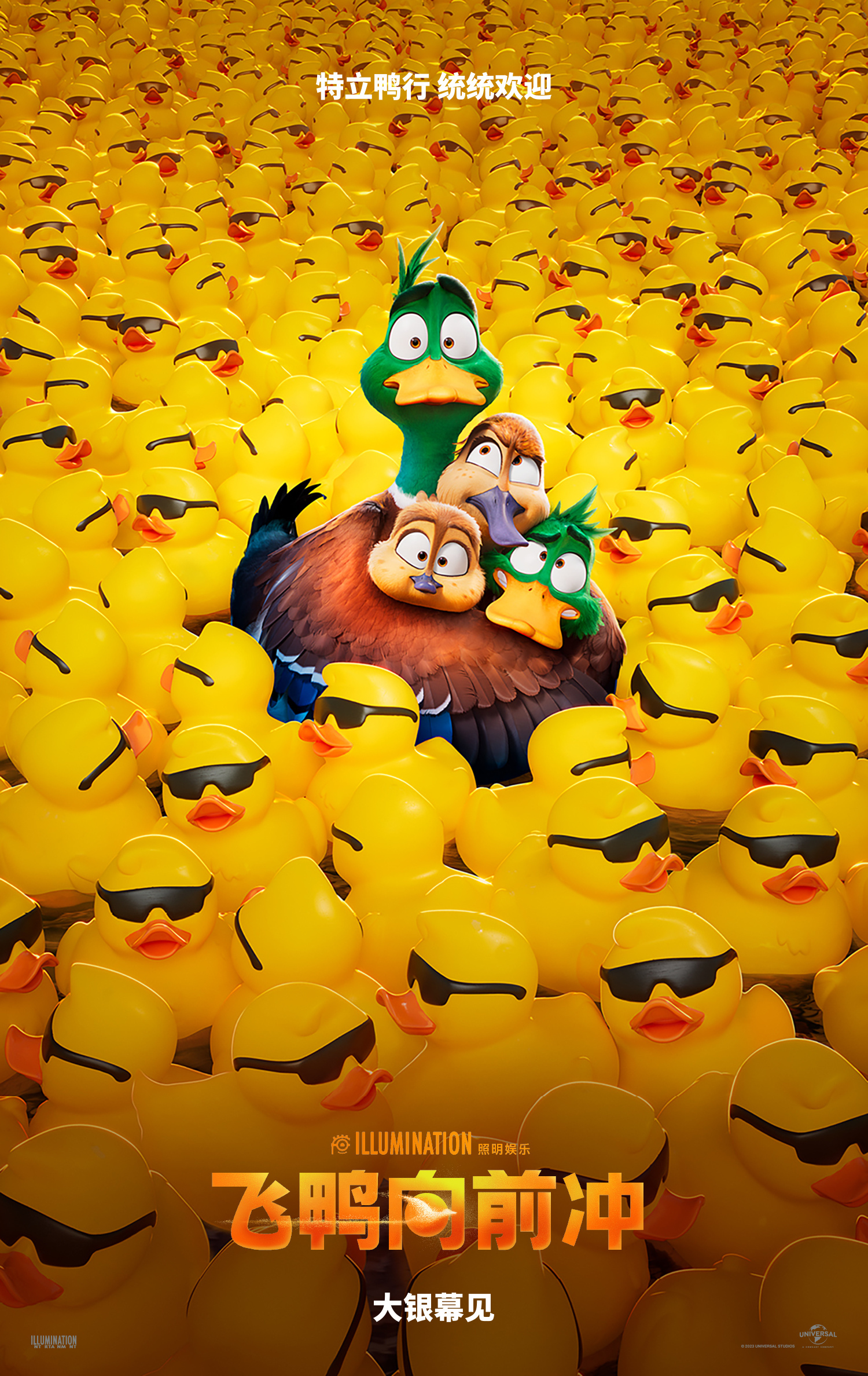 飞鸭最新,飞行技能学习与任务执行指南全攻略