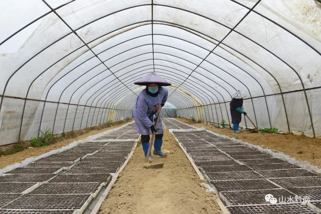 全州最新疫情下的隐秘宝藏,小巷特色小店抗疫风采