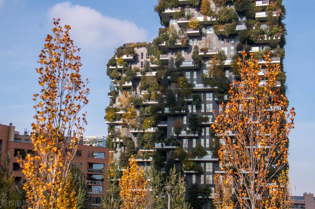 全球污染现状下的绿色小达人环保奇遇