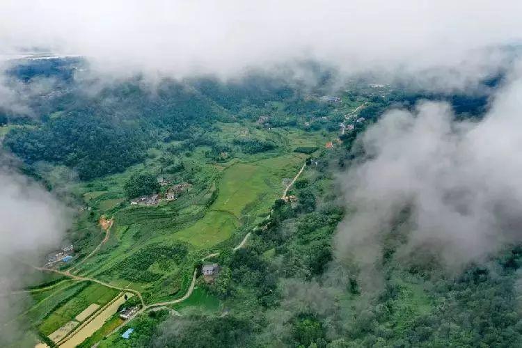 重庆最新现象观察,新增情况之我见