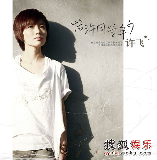 许飞最新探索之旅,自然美景中的心灵寻觅与平和之境