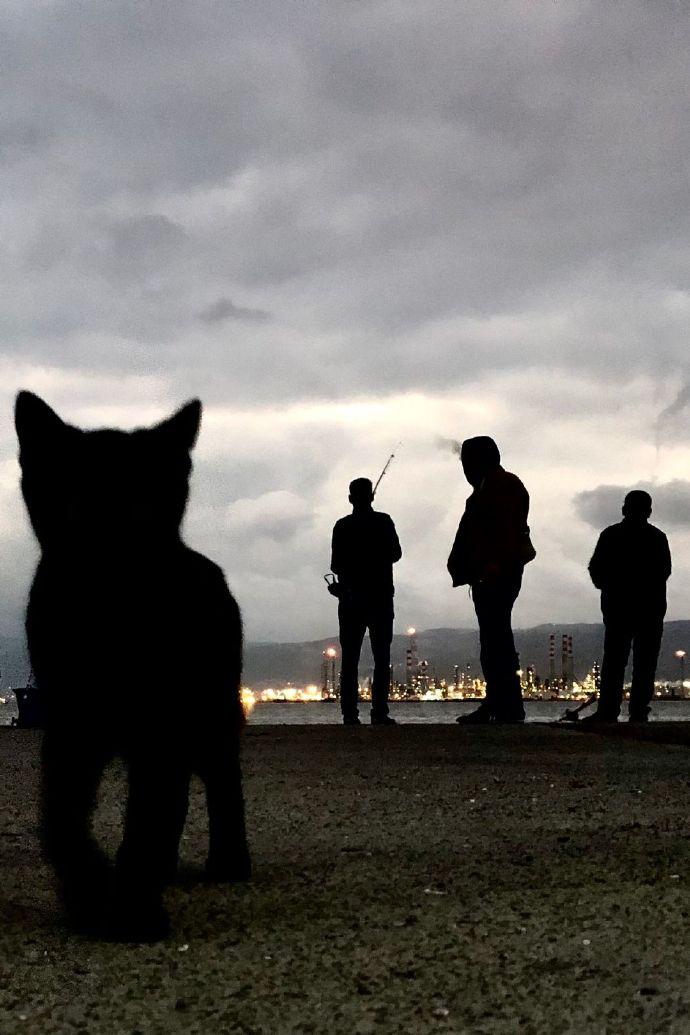 揭秘最新美国大选舞弊真相,令人震惊的真相浮出水面!