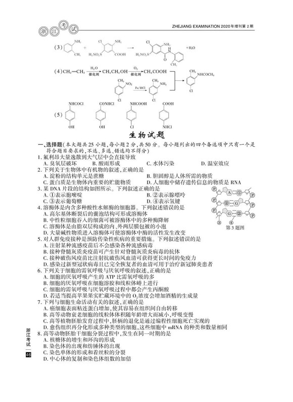 浙江高考生物知识点深度解析,小巷中的生命奥秘探索