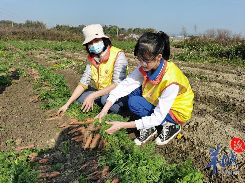 海珠资讯速递,回溯与探析发展之路
