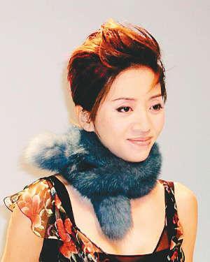 台山明星探秘,发掘与培养个人明星之路