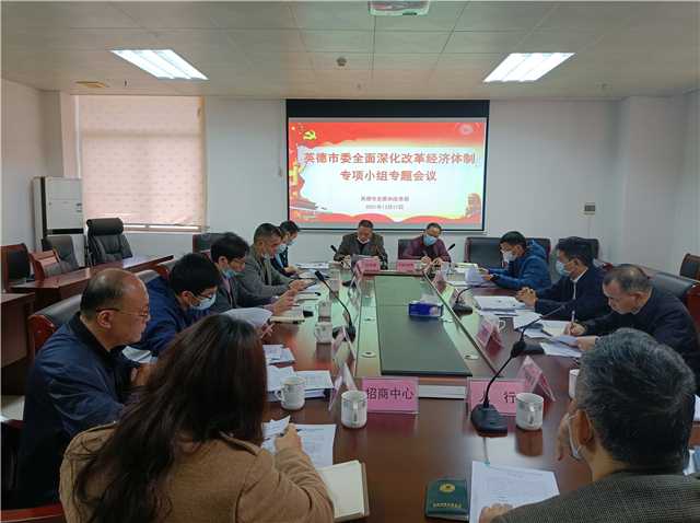 最新经济体制动态及步骤指南概览