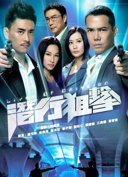 香港最新电视剧探索自然美景与内心平和之旅汇总