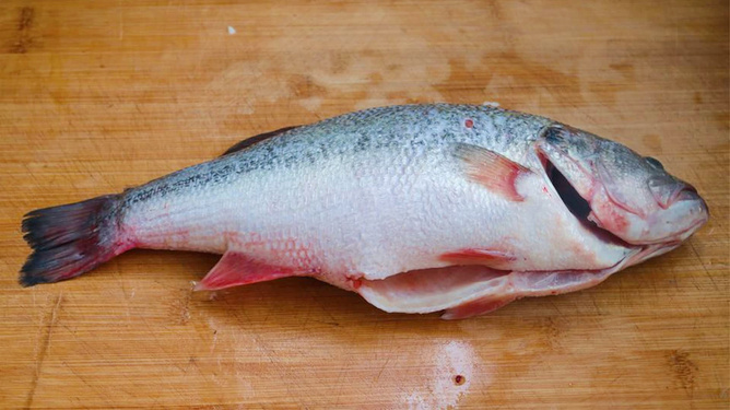 创意无限!最新鱼烹饪方法与艺术探索