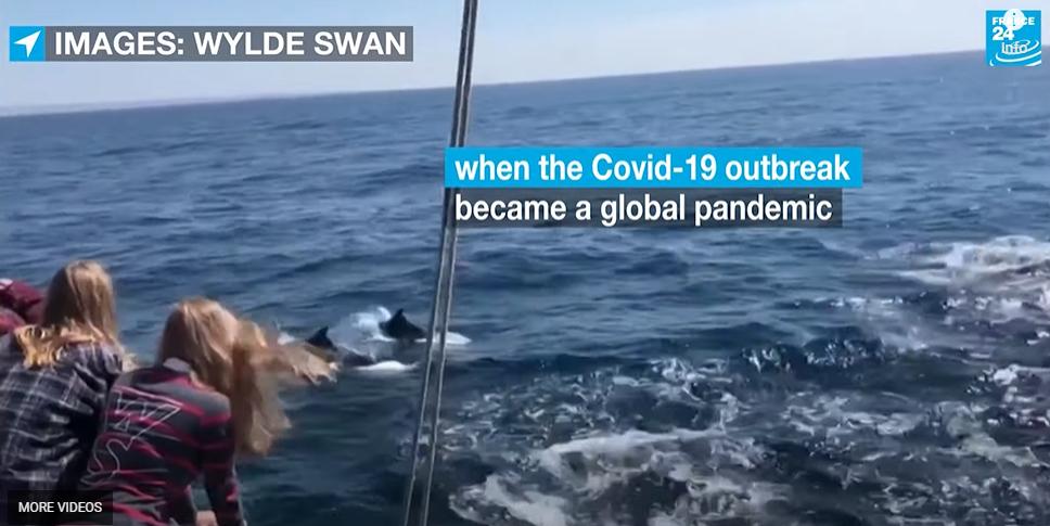 荷兰疫情最新动态,心灵之旅启程之际的自然呼唤