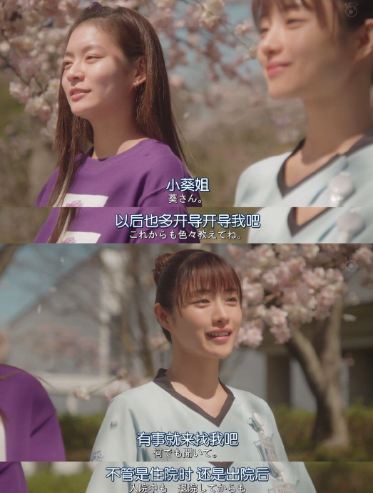 最新热门日剧大赏,引领潮流的日剧一览