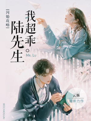 陆靖骁最新章节,热血传奇的延续之旅