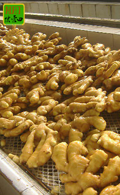 干姜价格动态,厨房秘密与友情的温暖见证