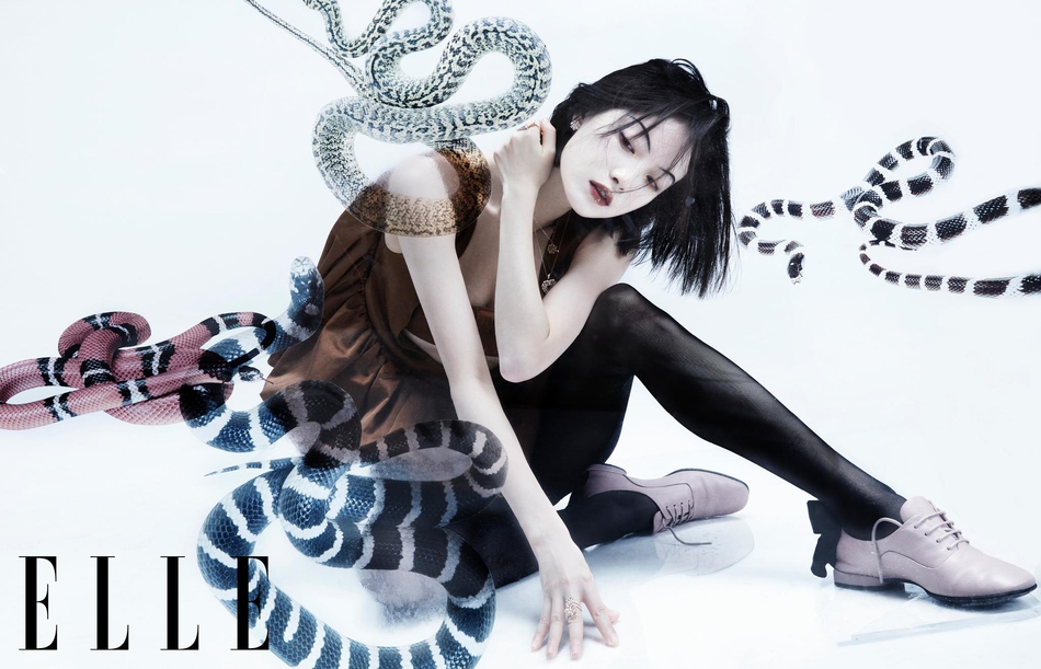 最新娱乐大片,潮流影视盛宴引领观影新风尚