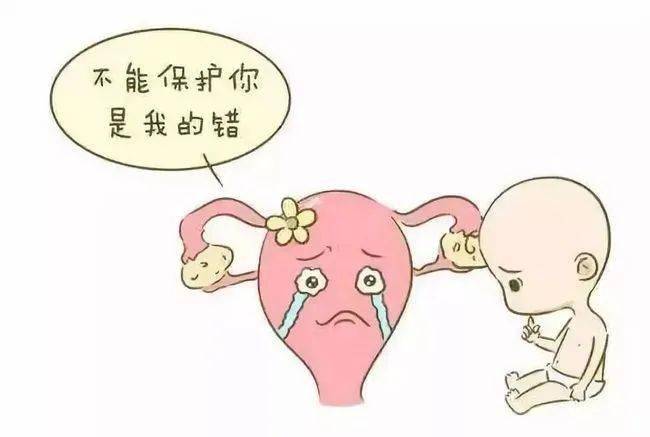 先进流产技术全面解析