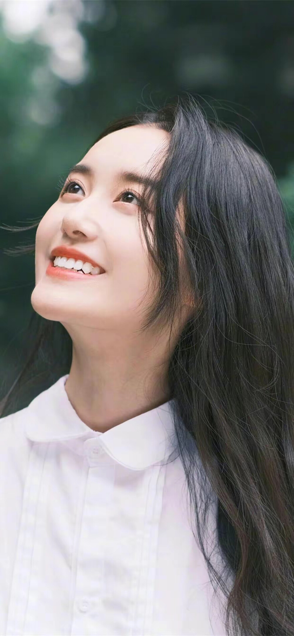 依依电影,科技重塑观影体验,开启全新视界之旅