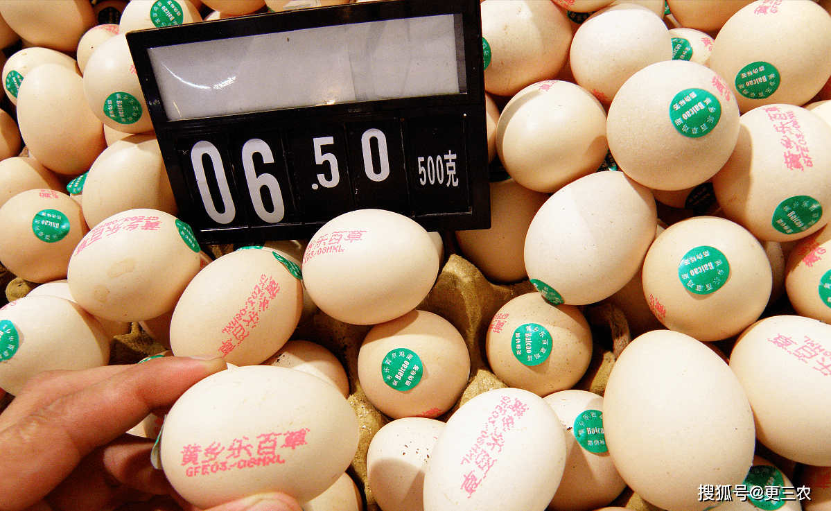 广州鸡蛋行情深度解析,从微观世界洞察全球动态,学习成就人生辉煌