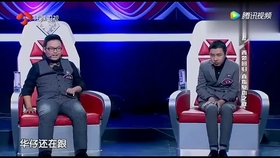 最强大脑魔方比赛,手速与智慧的巅峰对决