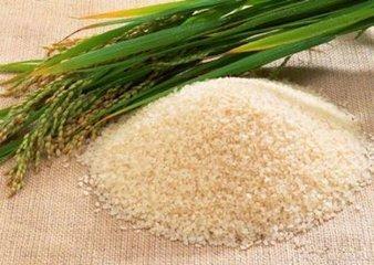 饮鸠角色介绍及演员表