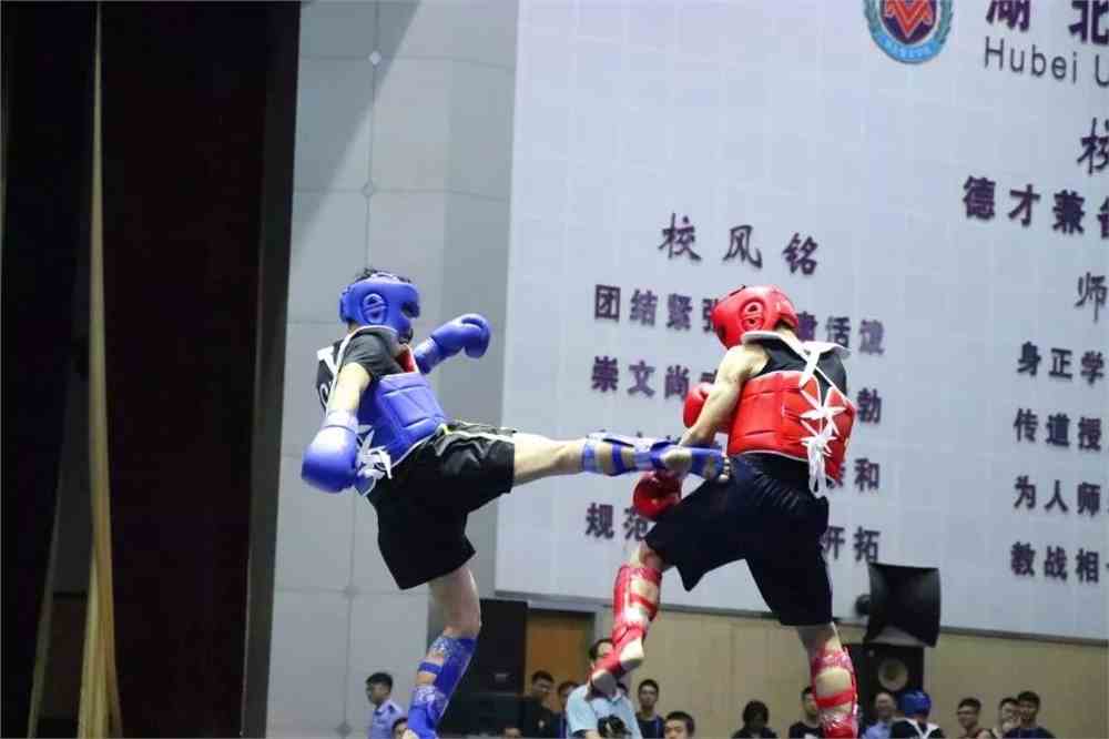 散打比赛观后感,巷弄深处的武术魅力与竞技激情