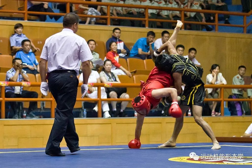 散打比赛观后感,巷弄深处的武术魅力与竞技激情