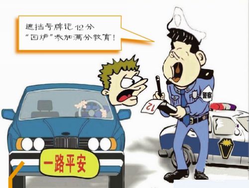 驾照新规深度解读,从细节看变化🚗🚕