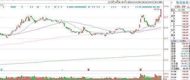 正邦科技历史行情深度解析🌟