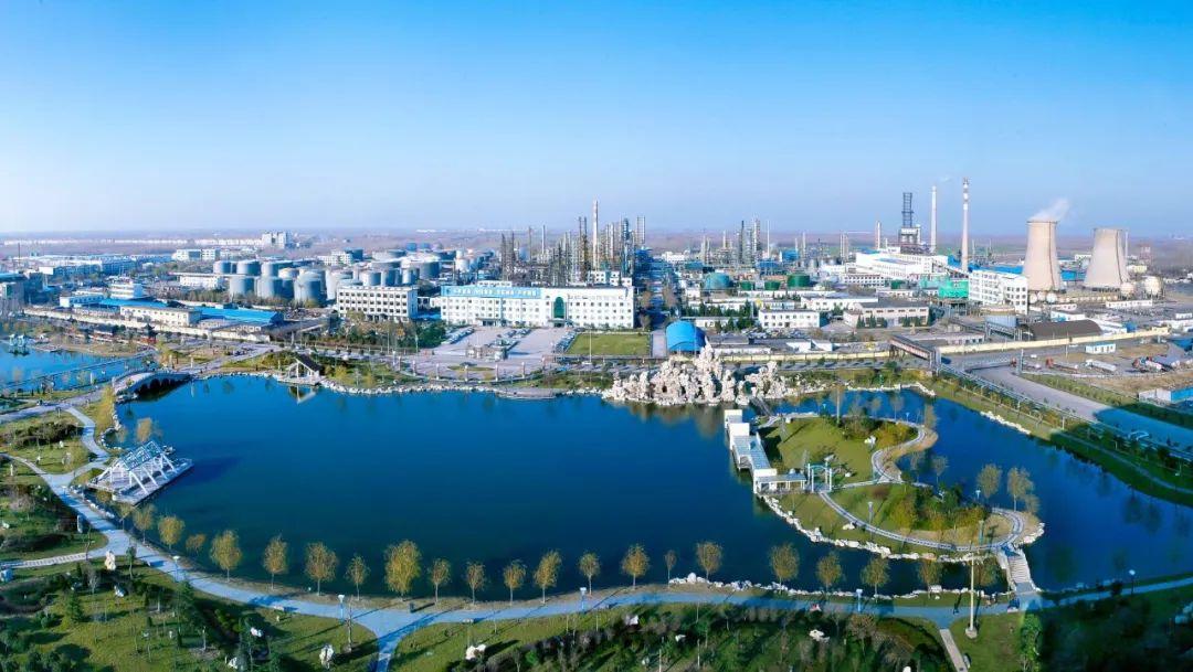 2025年煤炭行情深度预测与分析