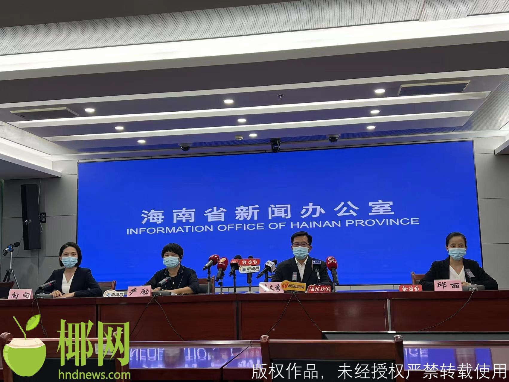 海南最新动态报告,编写指南与最新资讯速递