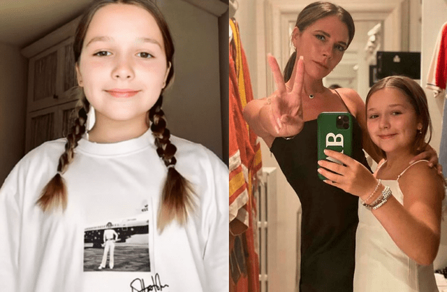 小七最新揭秘,科技、娱乐与社会热点一网打尽