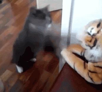 揭秘最新大老虎,震撼曝光!