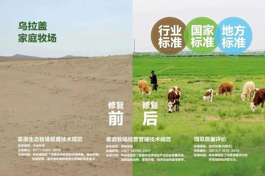 学习变化的力量与自信的种子——久久草最新动态分享
