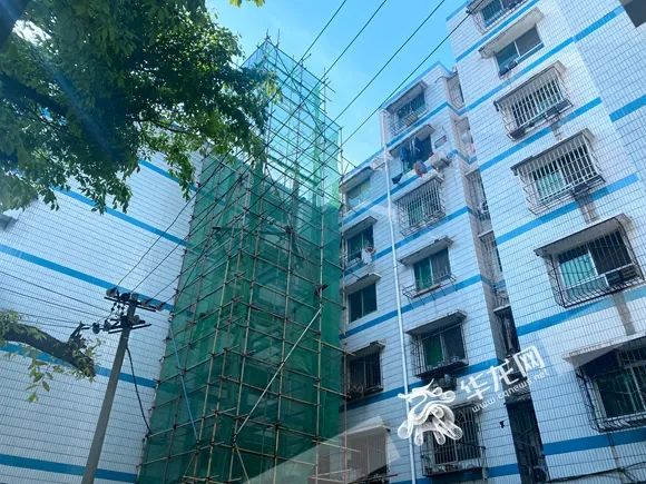 石柱最新资讯更新