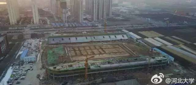 保定容大主场最新动态更新