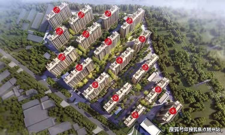 新蔡天龙禽业最新动态更新