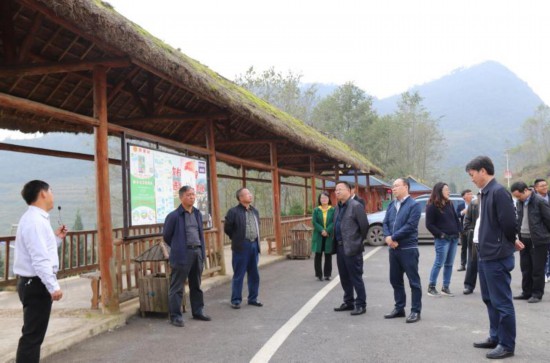 盘州市成立最新动态更新,最新消息汇总