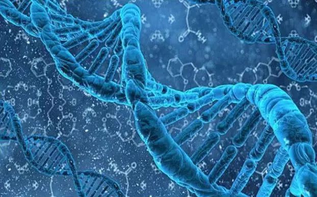 遗传学最新进展,学习遗传学的步骤指南